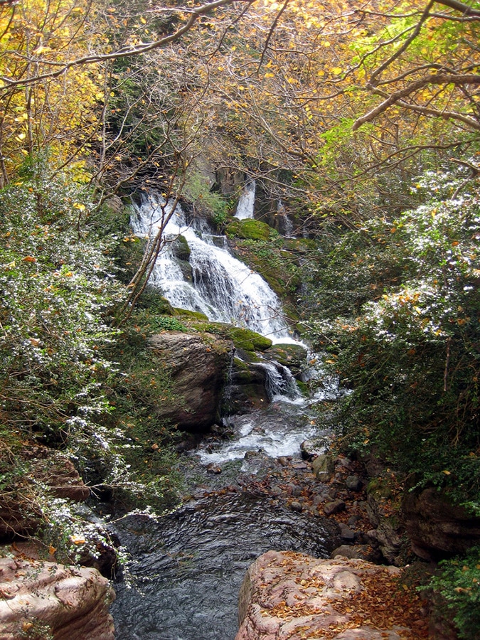 fonts llobregat