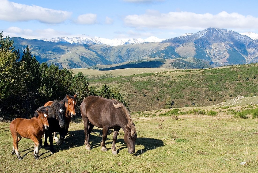 excursió senderisme VALLESPIR