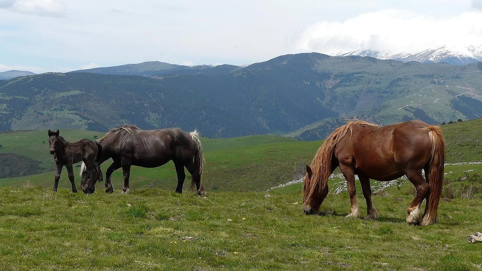 excursió senderisme VALLESPIR
