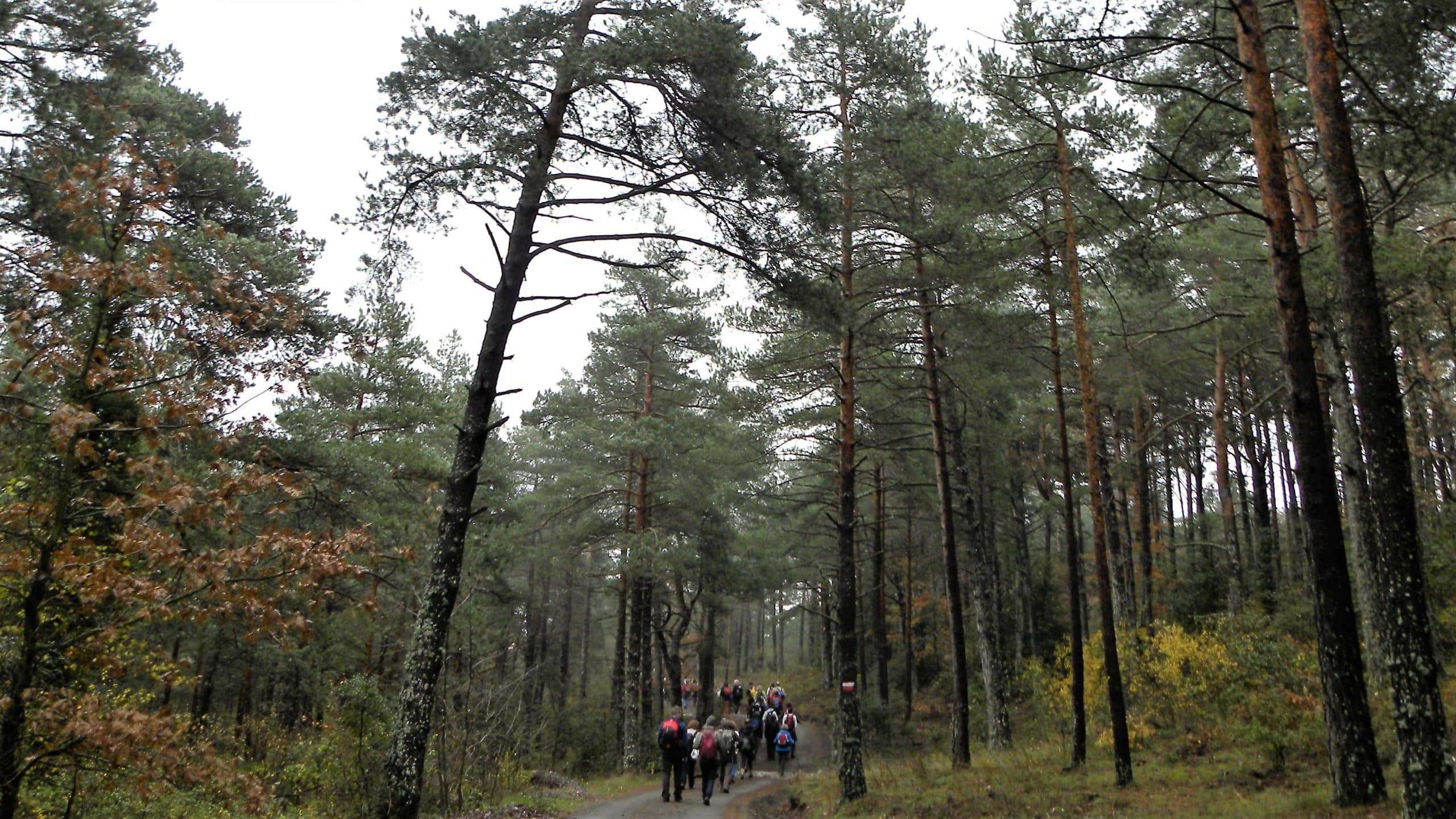 Prades i Tossal de Baltasana