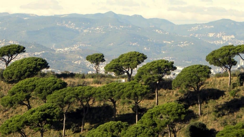El Puig d'Ossa des de Vallvidrera