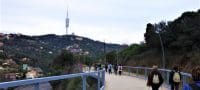 Nordic Walking Collserola