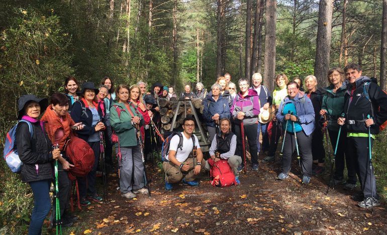 Beneficis del Nordic Walking