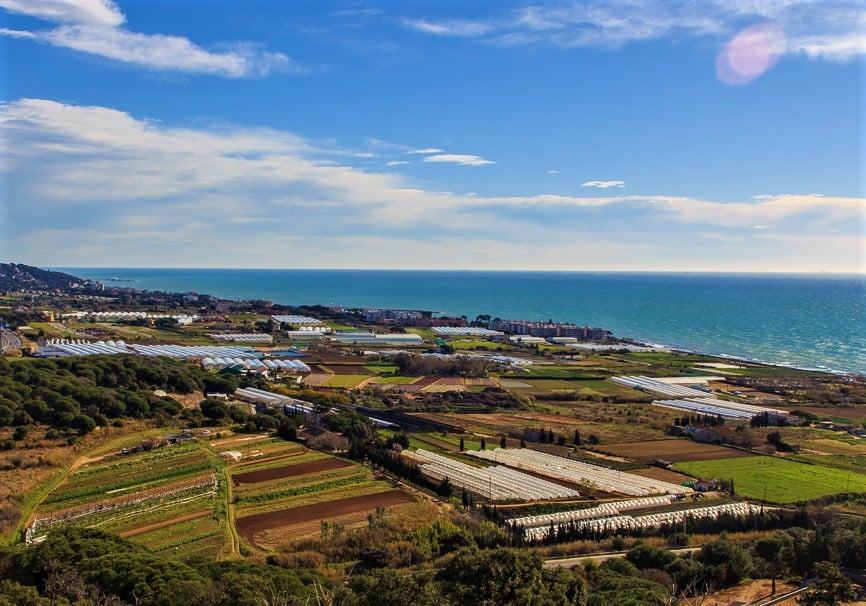 Marxa Nòrdica al Maresme